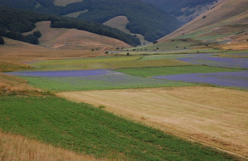 Sopra i 2000 m s.l.m. con l''amico Ennio
